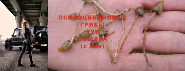 гашиш Алексин